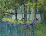 bluebells, wood and water